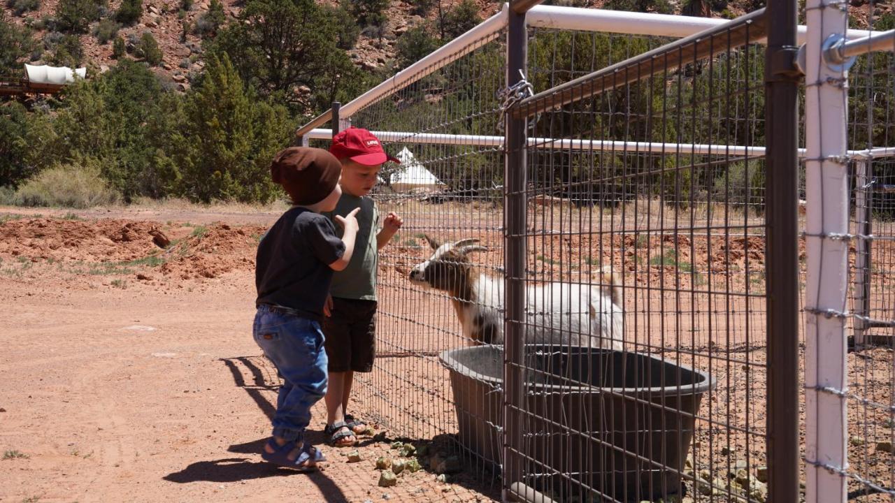 Zion View Camping Hildale Экстерьер фото